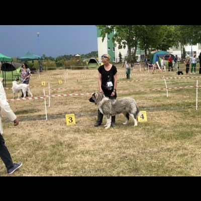 NDS USTKA'18 - BAGIRA
